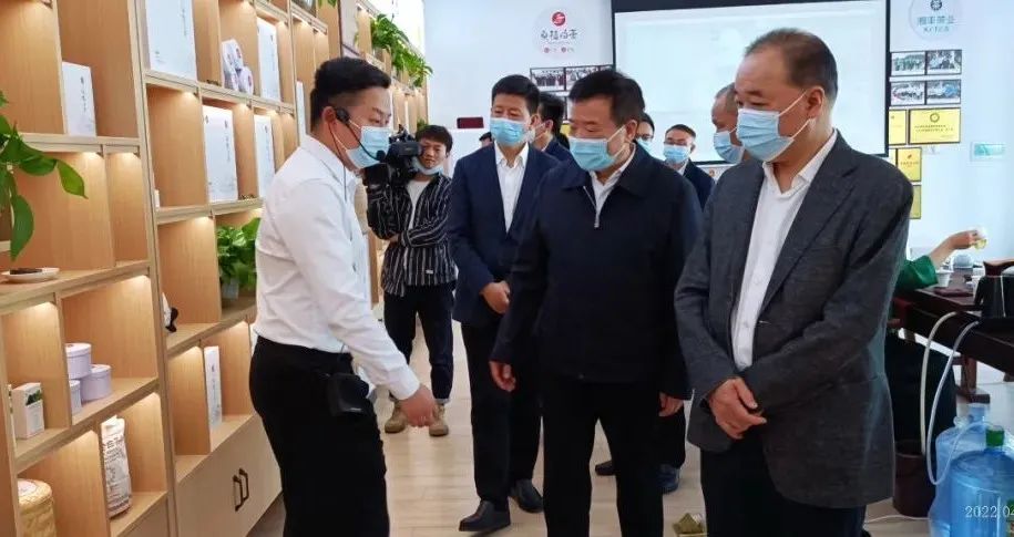 湖南省副省長(zhǎng)陳飛帶隊(duì)考察調(diào)研湘豐桑植白茶公司